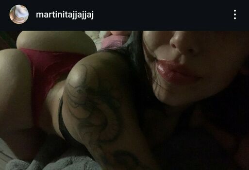 Martinitaignacia
