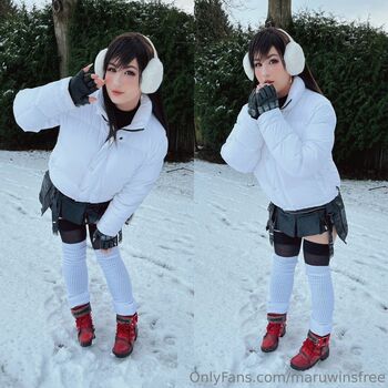 maruwinsfree