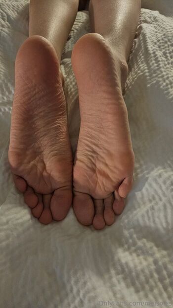 meisoles