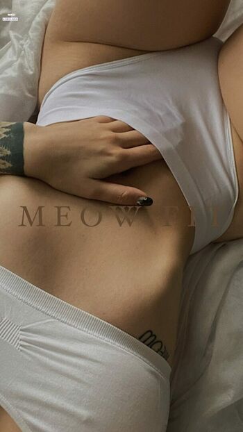 Meow.fit