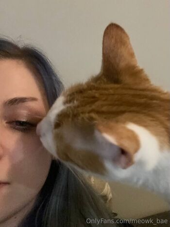 meowk_bae