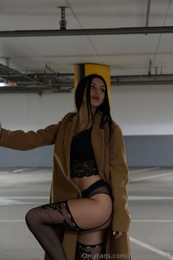midnight_rosa