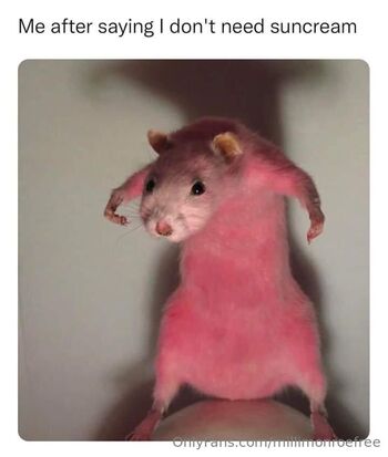 millimonroefree