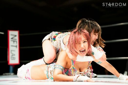 Mina Shirakawa