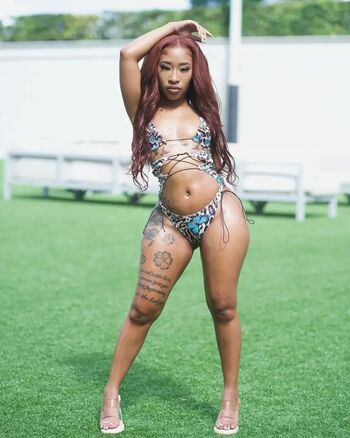 Mini Stallion