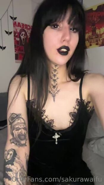 misakivirgin