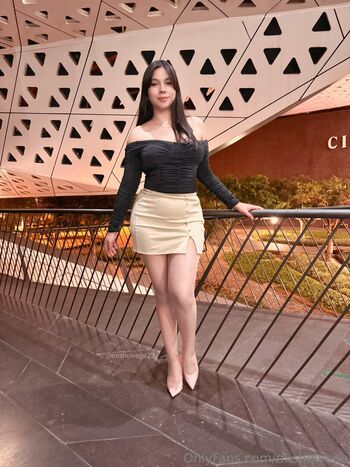 mishelvega