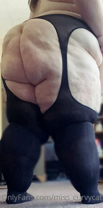 miss_curvycat