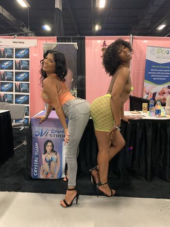 Misty Stone