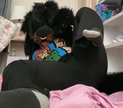 Murrsuit