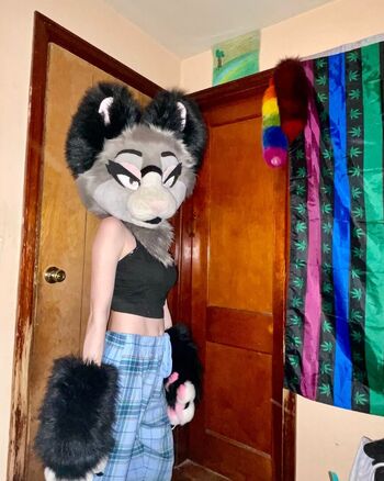 Murrsuit
