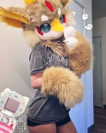 Murrsuit