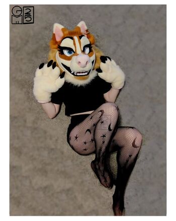 Murrsuit
