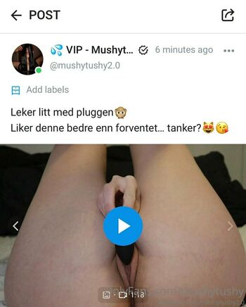 mushytushy