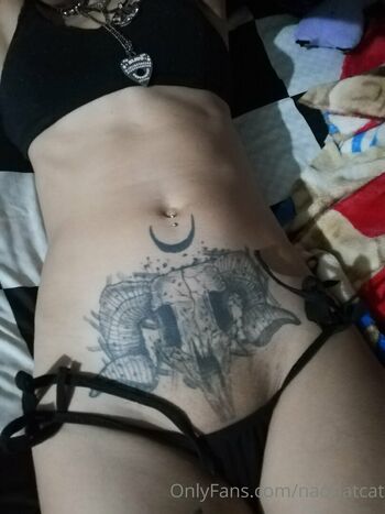 Nao Batcat