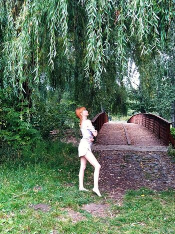 naturallilie