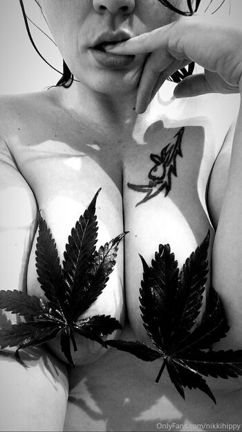 nikkihippy