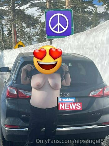 nipsangel81