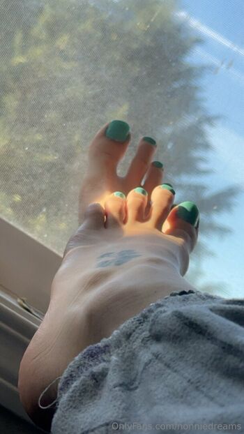 nonniedreams