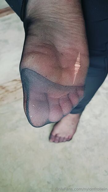 nylonfrollein