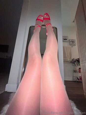 nylonskitten