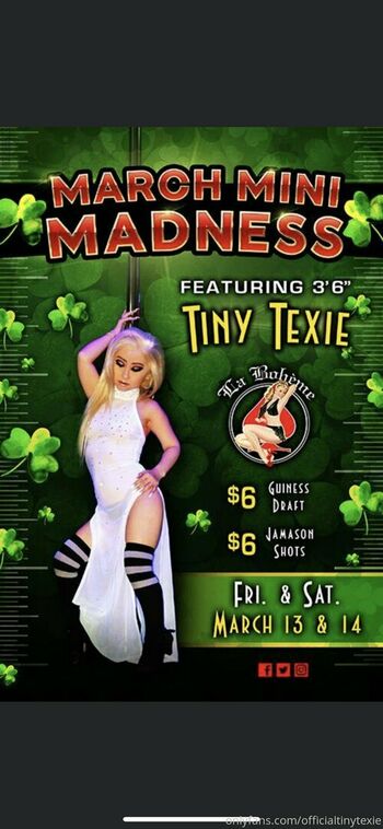 officialtinytexie