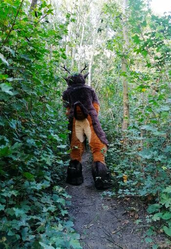 orun_the_deer