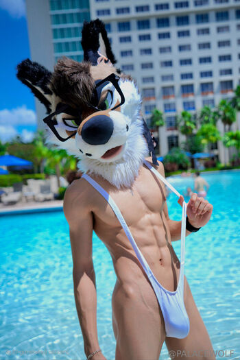 palacewolf