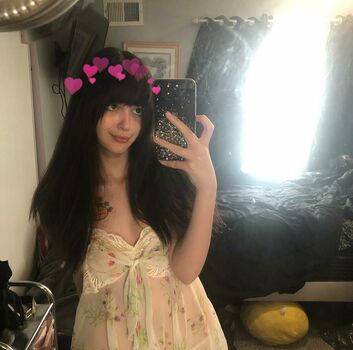 Palediary