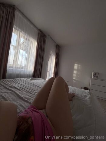 passion_pantera