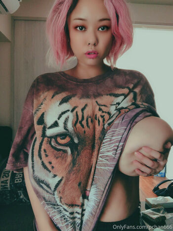 Pchan 666