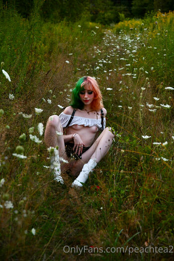 peachtea2