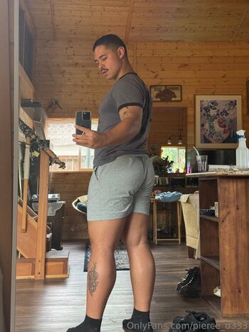 pierce_d333