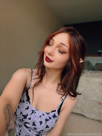 Pixiecat