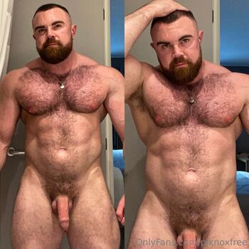 pjknoxfree