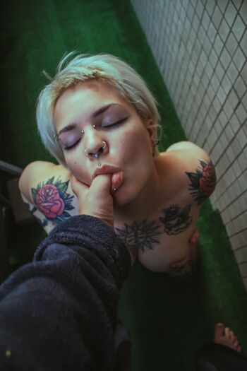pollyyvla