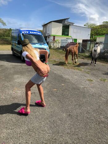 Puma Swede