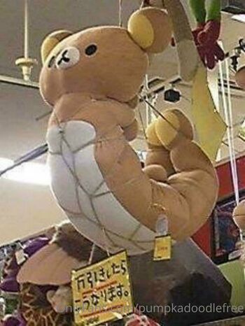 pumpkadoodlefree