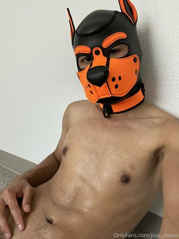 pup_rawuu