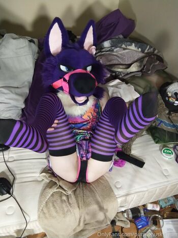 purplehuskymurr