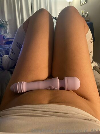 pussycat_357