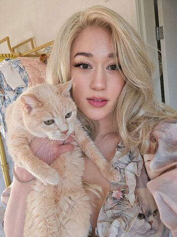 QueenTofu