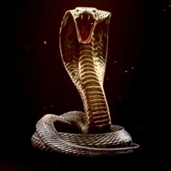 RealKingCobra