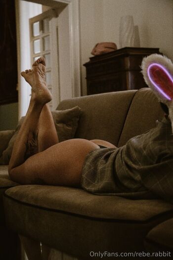 rebe.rabbit