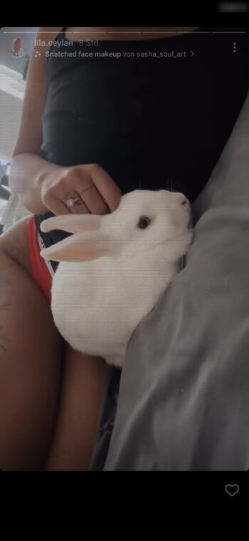 Red Bunny
