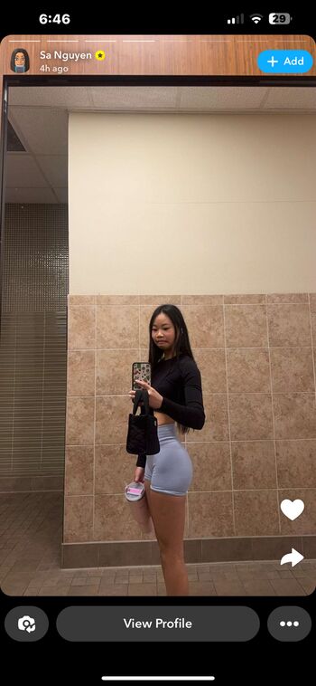Sa Nguyen