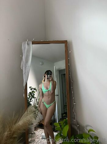 Sagey_fit