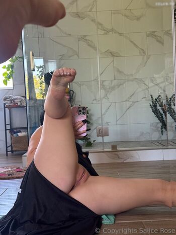 Salice Rose