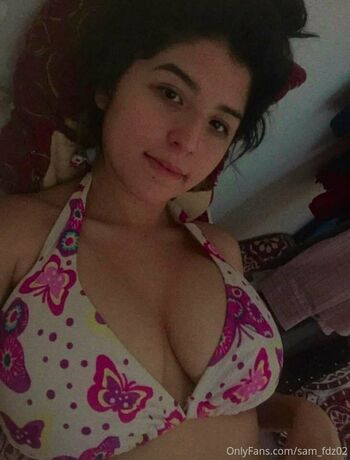 sam_fdz02
