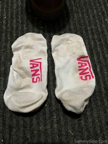 sammysole